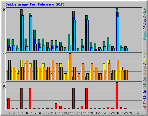 Daily usage for February 2013
