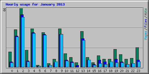 Hourly usage for January 2013