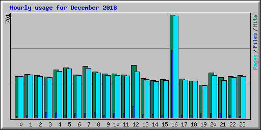 Hourly usage for December 2016