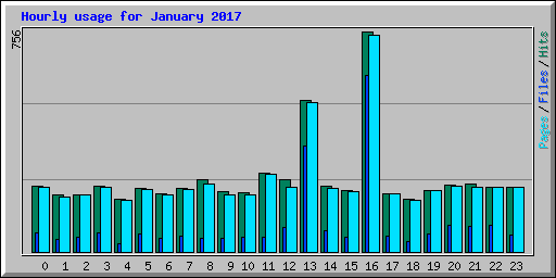Hourly usage for January 2017