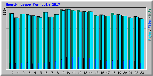 Hourly usage for July 2017