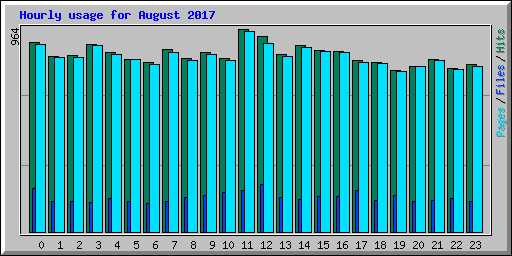 Hourly usage for August 2017