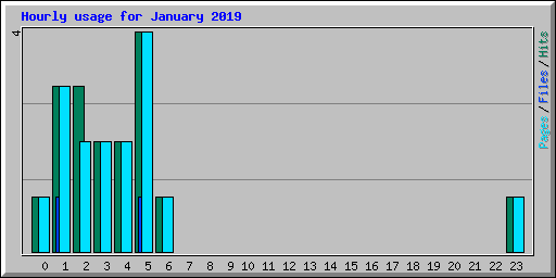 Hourly usage for January 2019